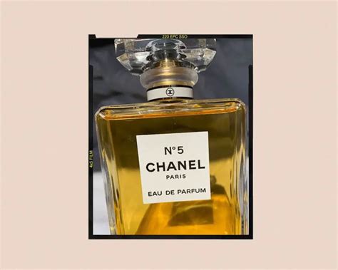 all kind of chanel perfume|what does chanel no 5 smell like.